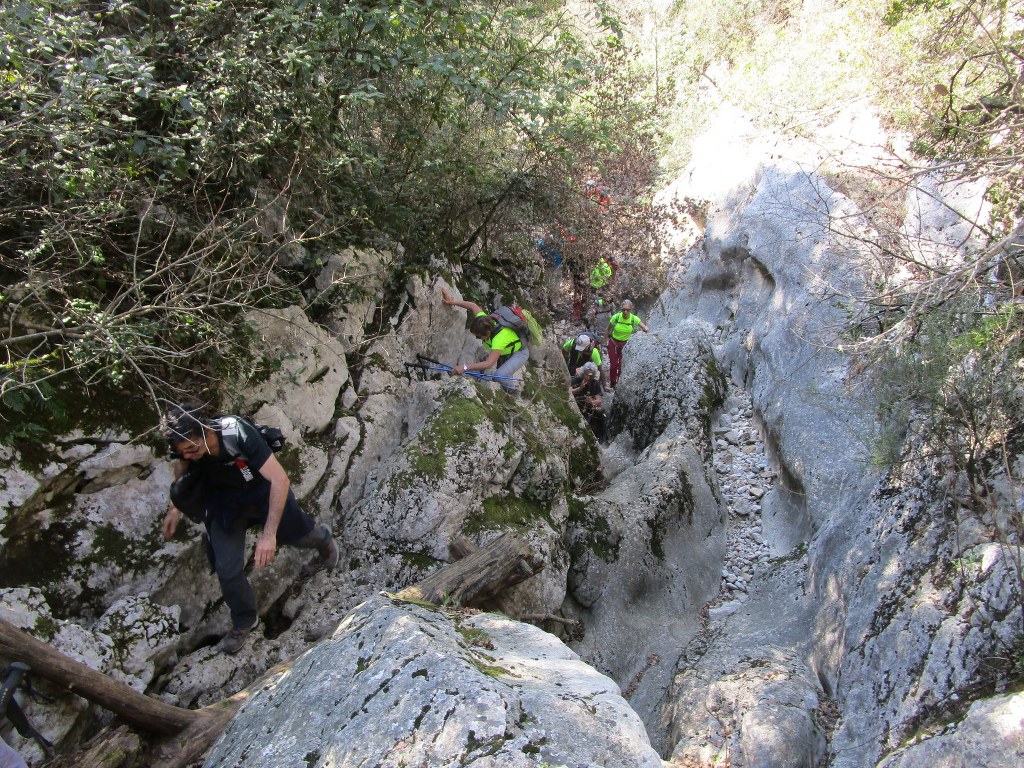 Ollioules-Gorges du Destel-Jeudi 28 mars 2019 X1iVKD