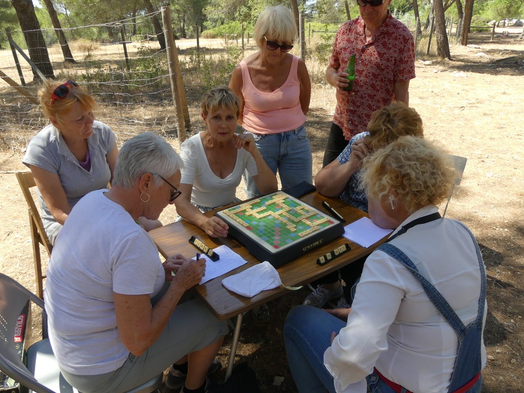 Sortie familiale de fin de saison à la forêt de Castillon-Samedi 11 juin 2022 YRMcsJ