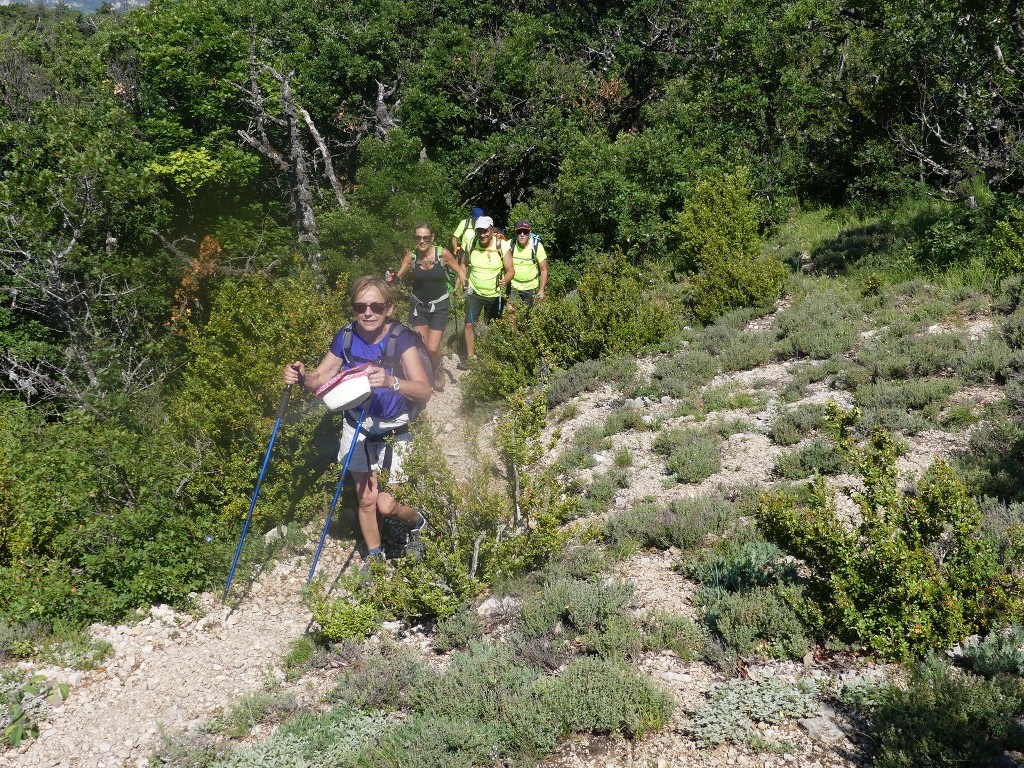 Pic St Cyr-Gorges de la Méouge-Jeudi 21 juin 2018 ZEy9Mn