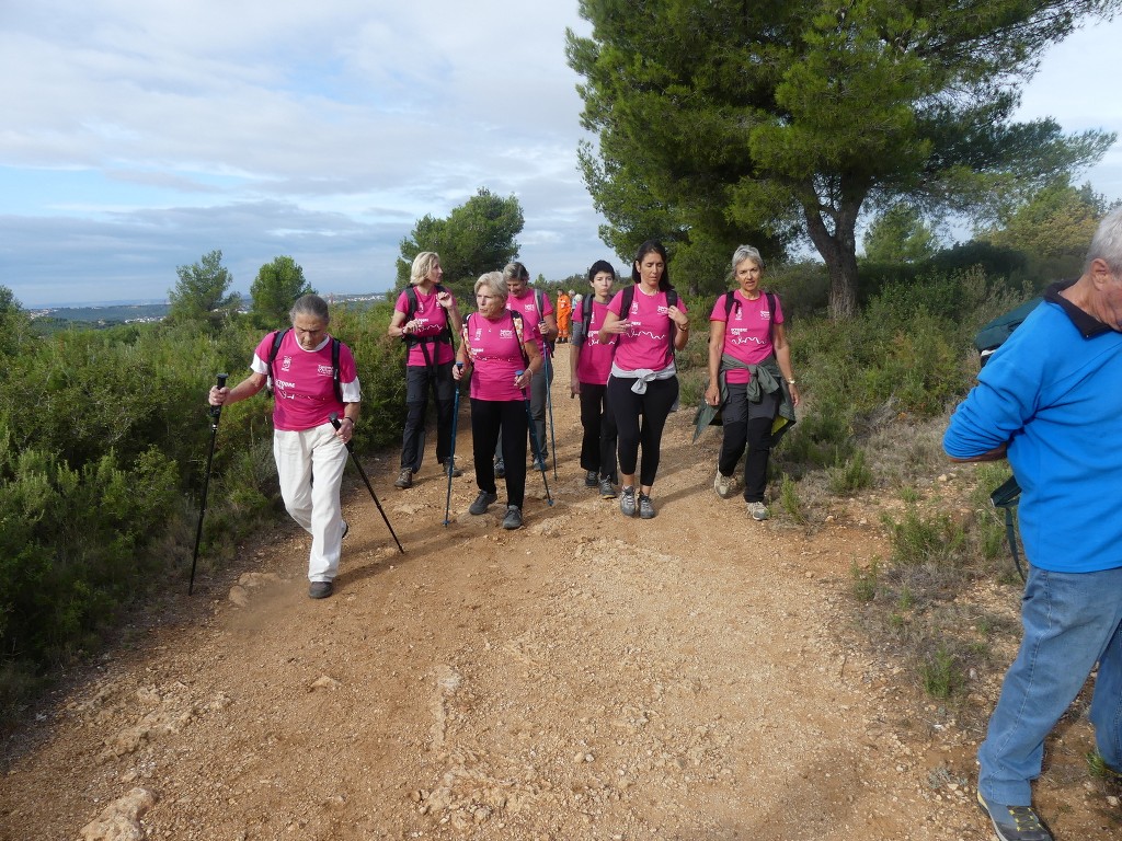 Marche octobre rose-Dimanche 9 octobre 2022 Zo0icu