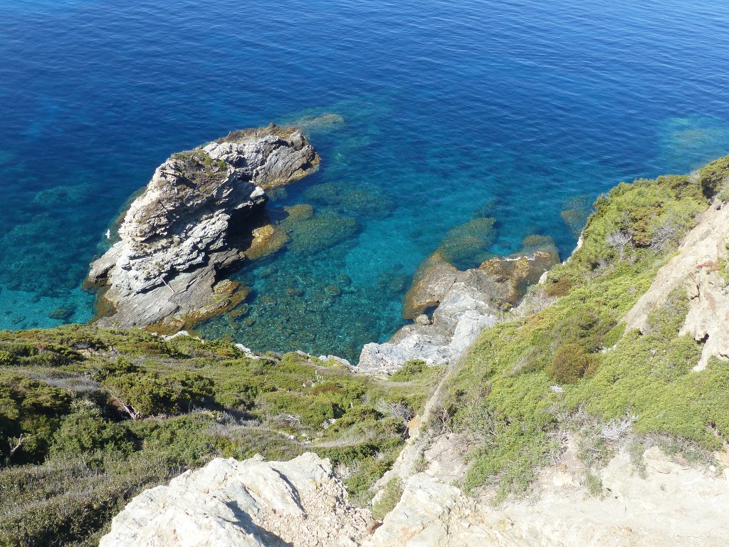 Porquerolles-Du Mont de Tièlo à la Galère-Jeudi 23 juin 2016 ZzADMZ