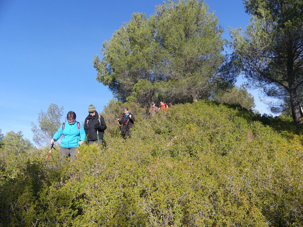 Reconnaissance 1/2 Septrail-Samedi 20 janvier 2018 0mcOs8