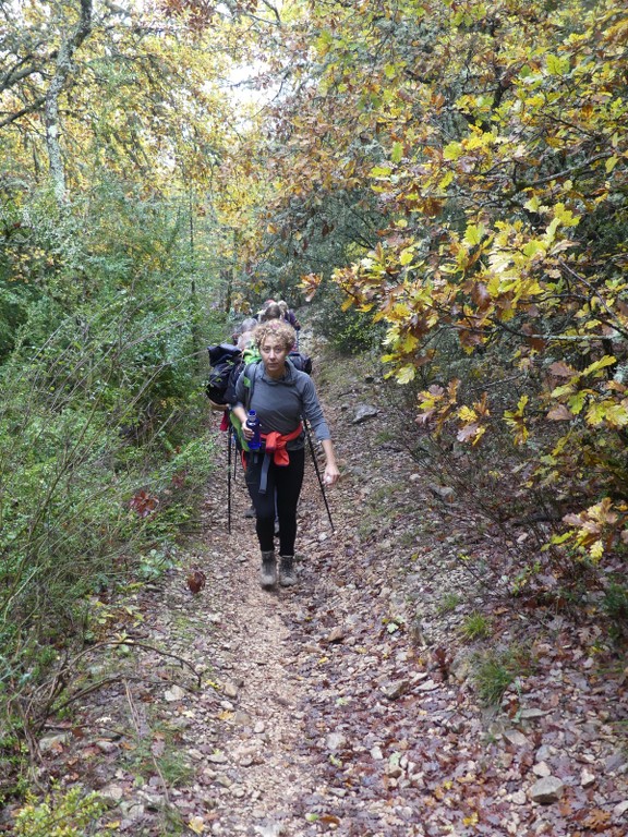 Les Jas du Ventoux sud-Jeudi 8 novembre 2018 19CaAA