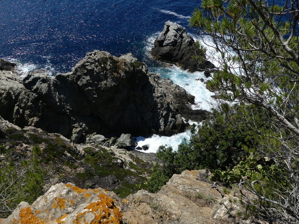 Porquerolles-Jeudi 14 juin 2018 2SMoAo