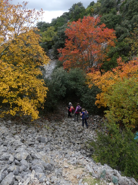 Les Jas du Ventoux sud-Jeudi 8 novembre 2018 374UzL