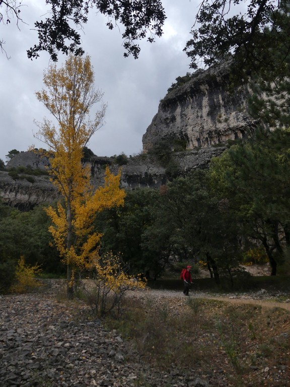 Les Jas du Ventoux sud-Jeudi 8 novembre 2018 41Y3cA