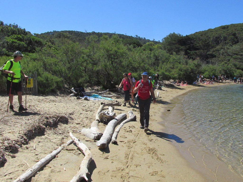 Port Cros- Randonnée groupe JM (Claude par interim)-Jeudi 13 juin 2019 5k9w18