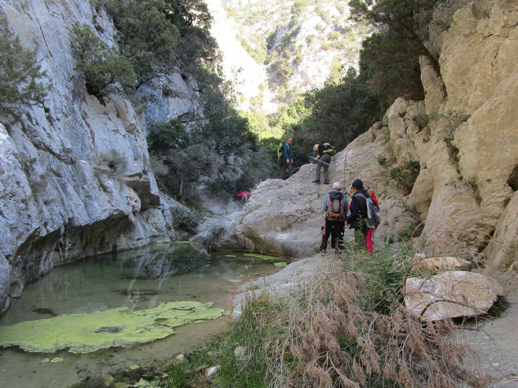 Ollioules-Gorges du Destel-Jeudi 28 mars 2019 5wHJsC