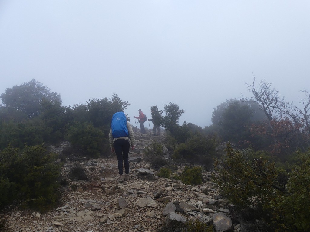 Mont Aurélien-Jeudi 25 janvier 2018 7DLsfm