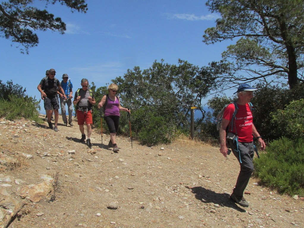 Port Cros- Randonnée groupe JM (Claude par interim)-Jeudi 13 juin 2019 7VXIMh