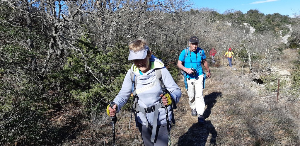 Rians-Montagne d'Artigues-Jeudi 7 mars 2019 8oDloj