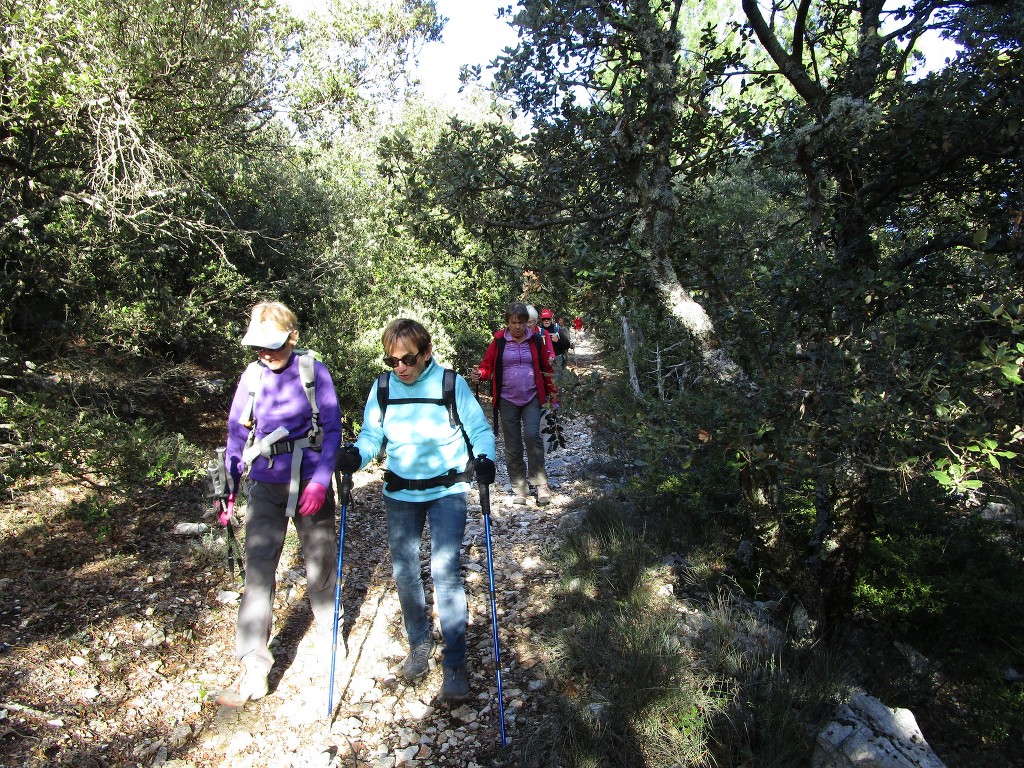 St Saturnin lès Apt-Les Aiguiers-Jeudi 29 novembre 2018 AM36CX