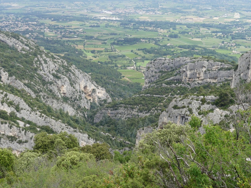 Oppède-Forêt des Cèdres-Jeudi 7 juin 2018 Adbau1