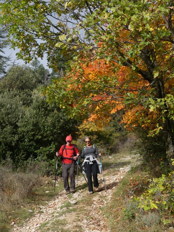 Les Jas du Ventoux sud-Jeudi 8 novembre 2018 BE6H2D