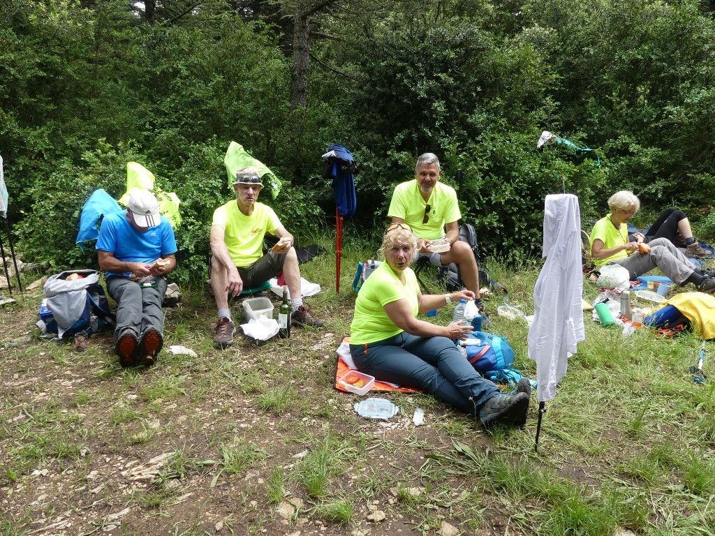 Oppède-Forêt des Cèdres-Jeudi 7 juin 2018 BRylTA