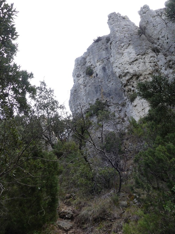 Méounes-Montrieux-Le Grand Puy-Jeudi 15 mars 2018 BfGanH