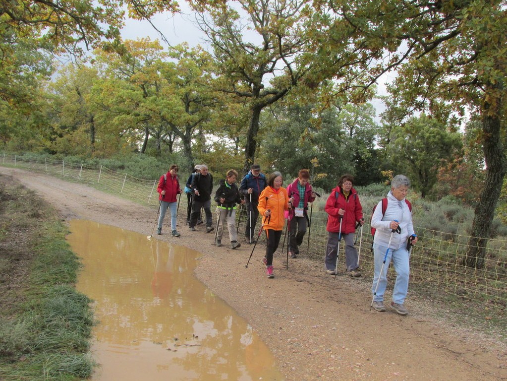 Trets- St Jean du Puy - Jeudi 8 novembre 2018 BiWI0y