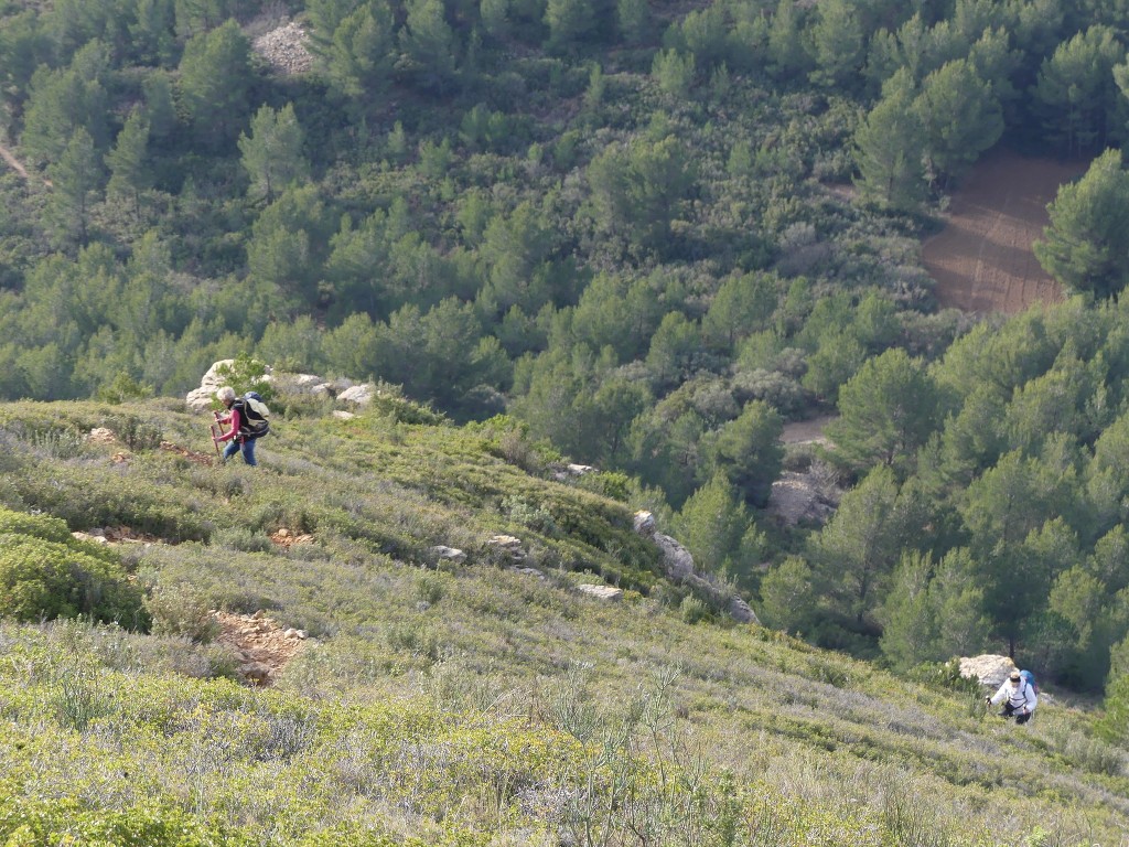 Allauch-Taoumé-Col de l'Amandier-Vendredi 3 janvier 2020 EtPTfR