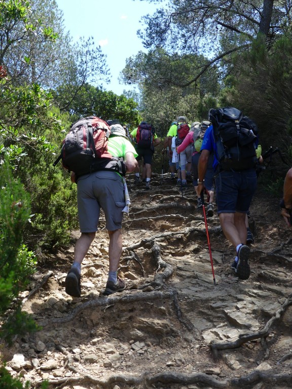 Porquerolles-Jeudi 14 juin 2018 G2AYwm