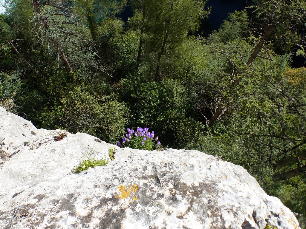 Fontaine de Vaucluse-Mourre de la Belle Etoile-Jeudi 20 mai 2021 GC2ffs