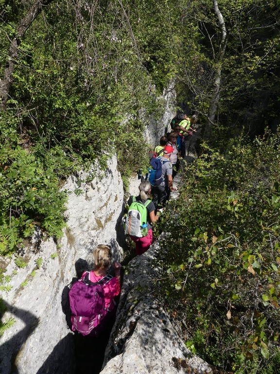 Joucas-Gorges de la Véroncle-Jeudi 18 avril 2019 GEtpLO