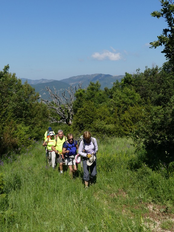 Pic St Cyr-Gorges de la Méouge-Jeudi 21 juin 2018 I4PyUr