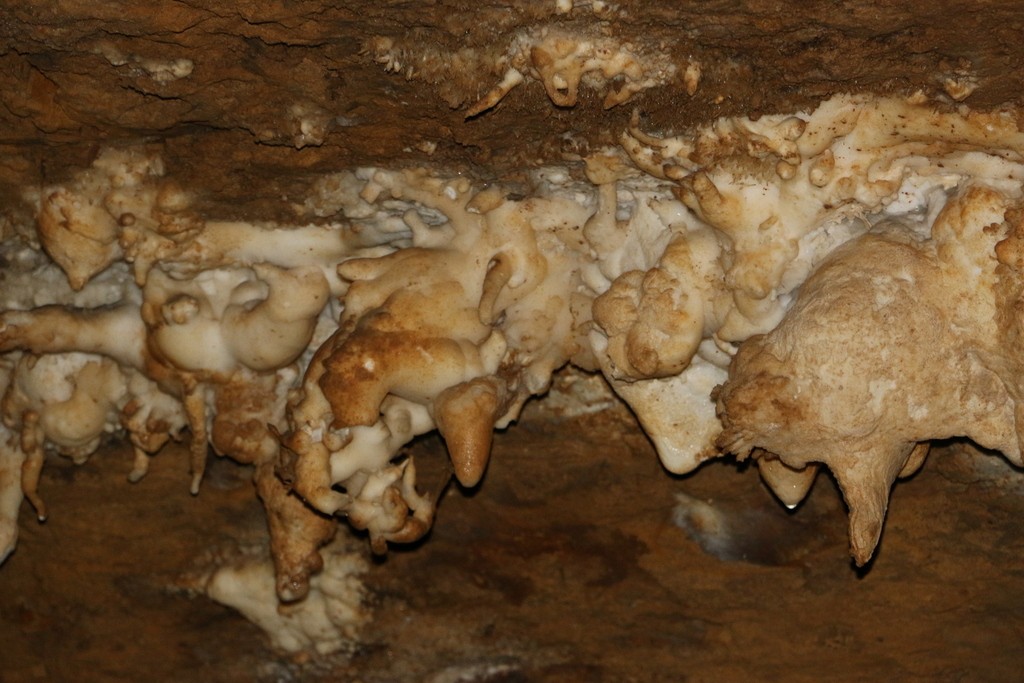 Anduze-Grotte du Trabuc-Samedi 27 avril 2019 IqHuY6