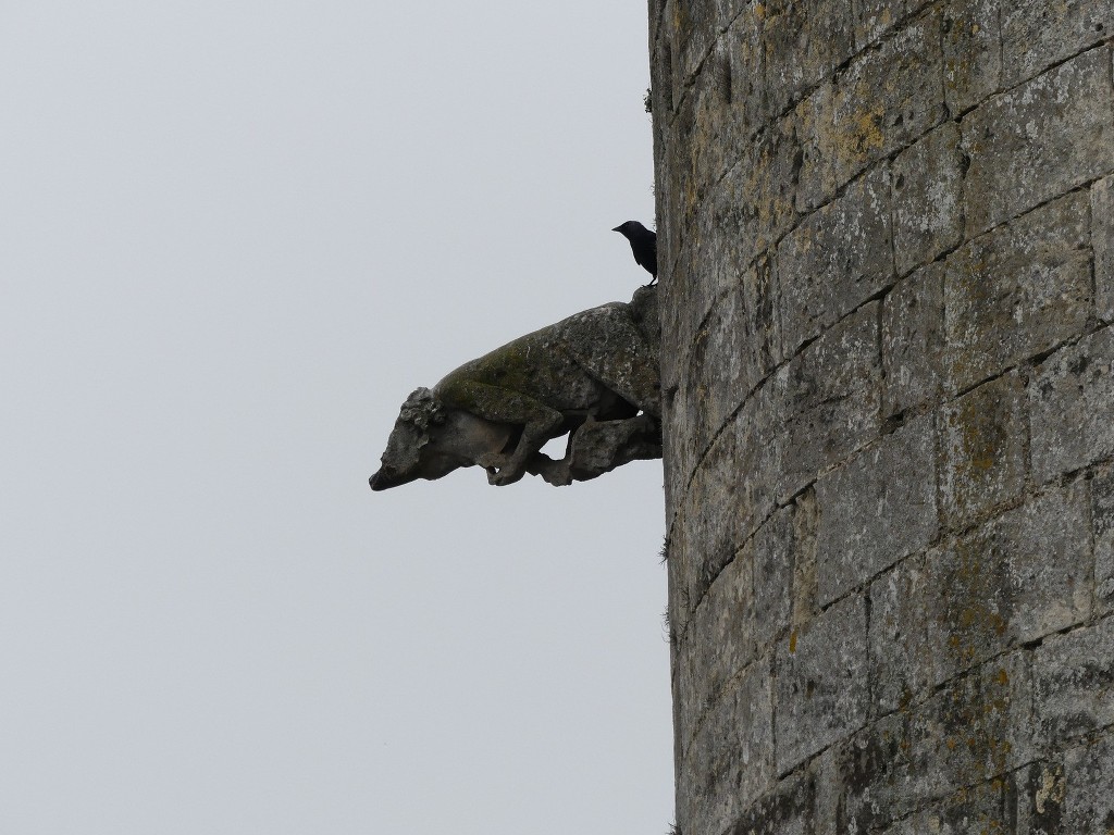 Aigues Mortes-Samedi 14 avril 2018 J0BzRo