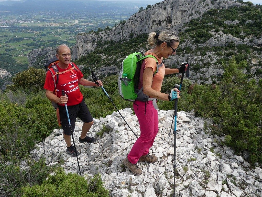 Oppède-Forêt des Cèdres-Jeudi 7 juin 2018 J5y0v7