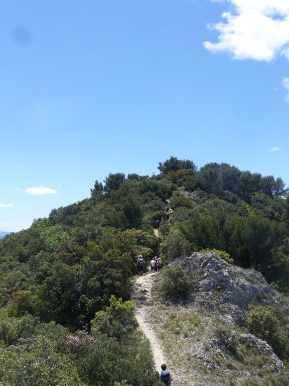 Lafare-Les Dentelles de Montmirail-Jeudi 13 mai 2021 KBTEV0