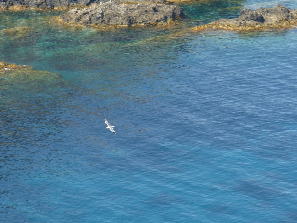 Porquerolles-Du Mont de Tièlo à la Galère-Jeudi 23 juin 2016 KH0rzm