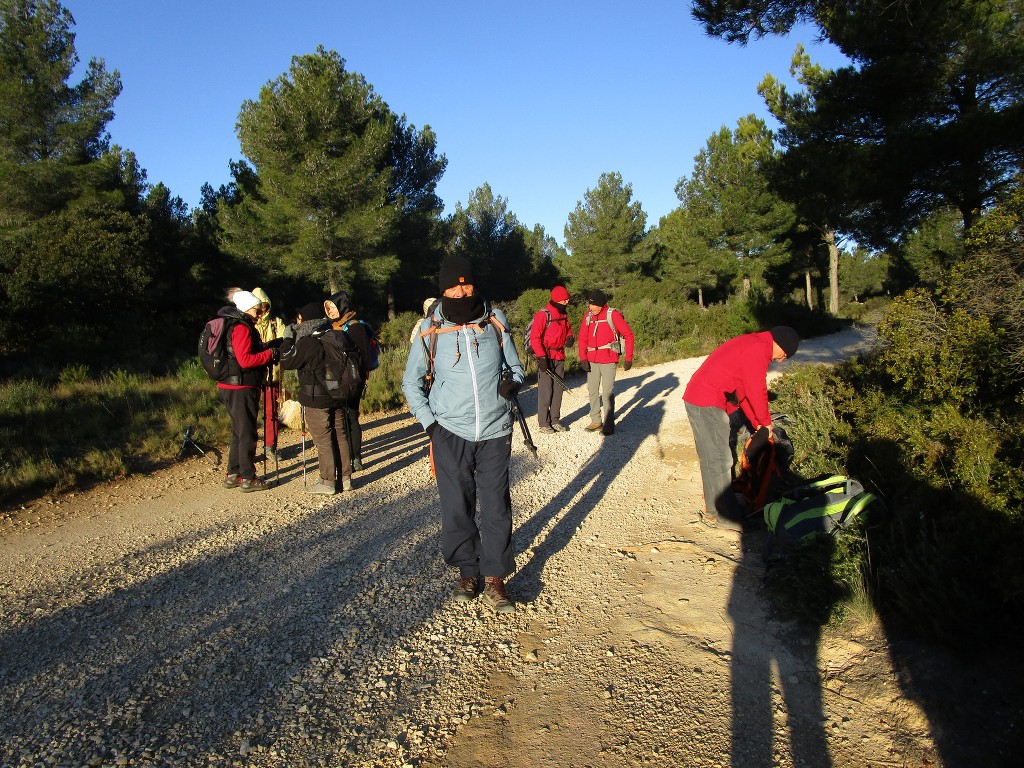 Martigues-Parc de Figuerolles-Jeudi 10 janvier 2019 LOkAQO