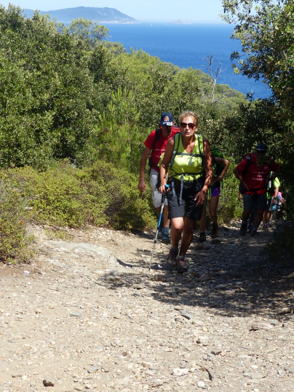 Porquerolles-Du Mont de Tièlo à la Galère-Jeudi 23 juin 2016 MLG3Hh