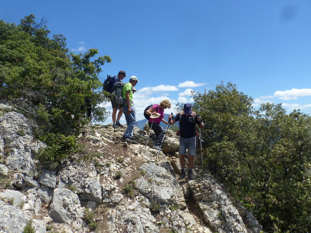 Lafare-Les Dentelles de Montmirail-Jeudi 13 mai 2021 Mg3AsN