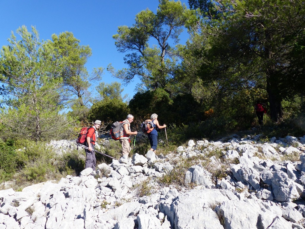 Le Revest-les-Eaux-Le Grand Cap-Jeudi 27 octobre 2016 MgeWfB