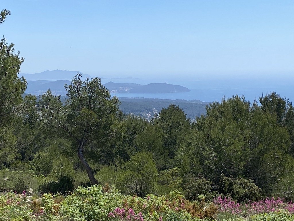 Ceyreste-Montounier-Jeudi 12 mai 2022 MguI7i