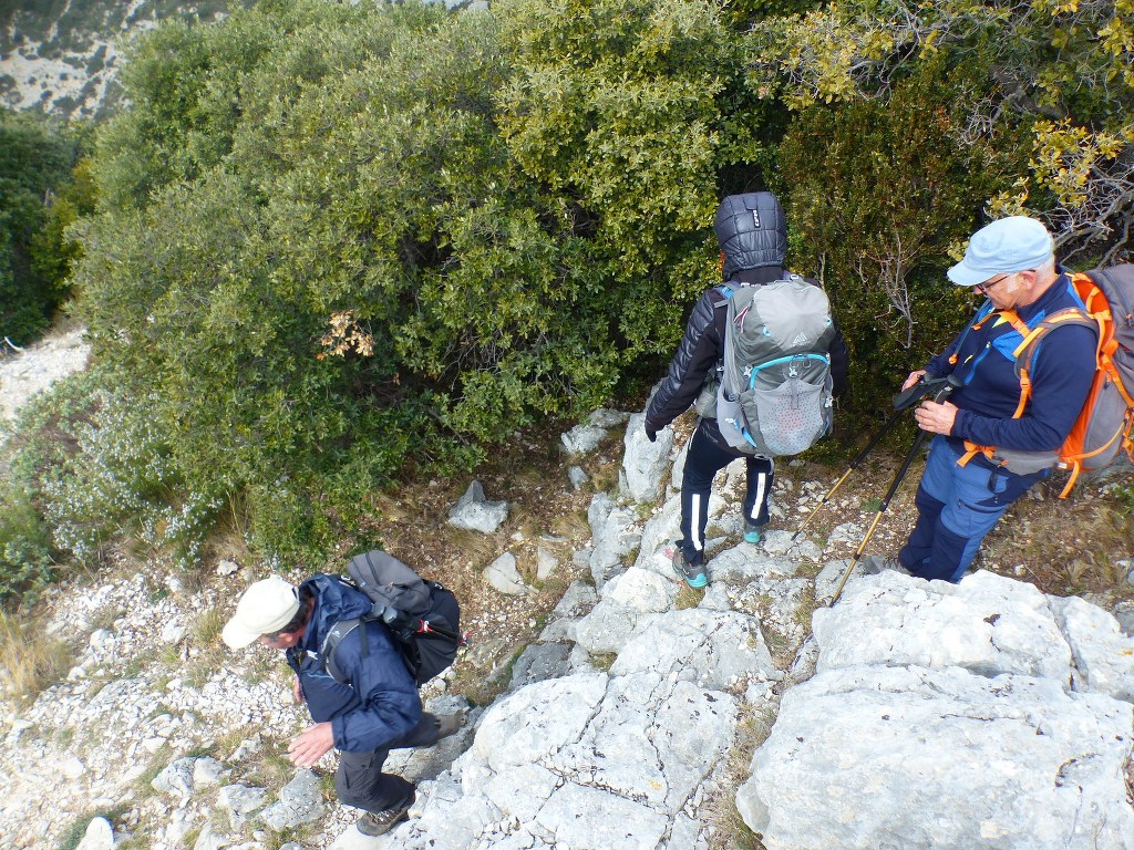 Lubéron-Vallon du Roumiguier, gorges de Régalon-Jeudi 10 mars 2022 MiiSvk