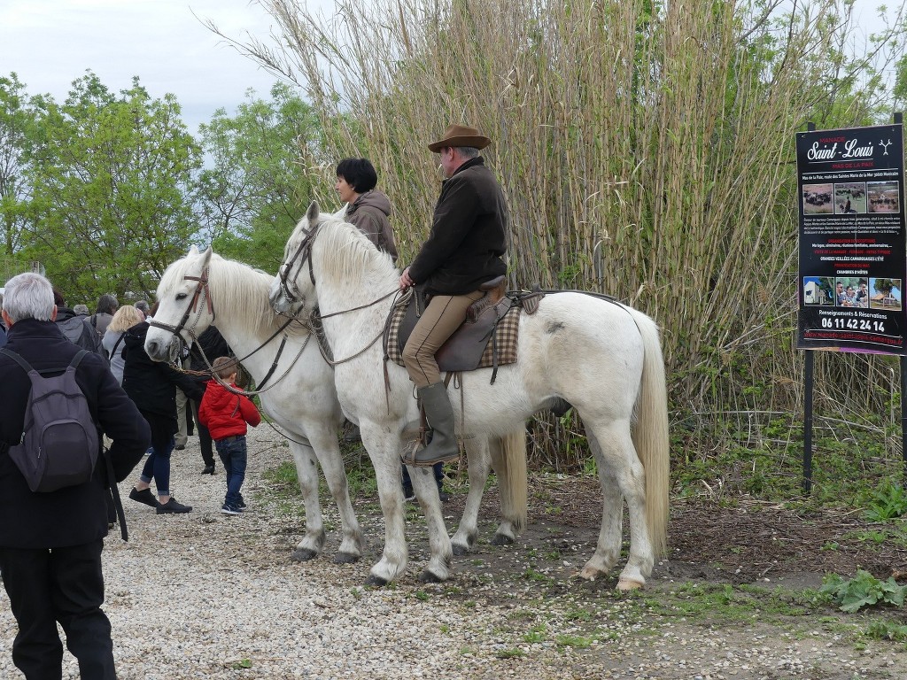 Aigues Mortes-Samedi 14 avril 2018 NQkm7X