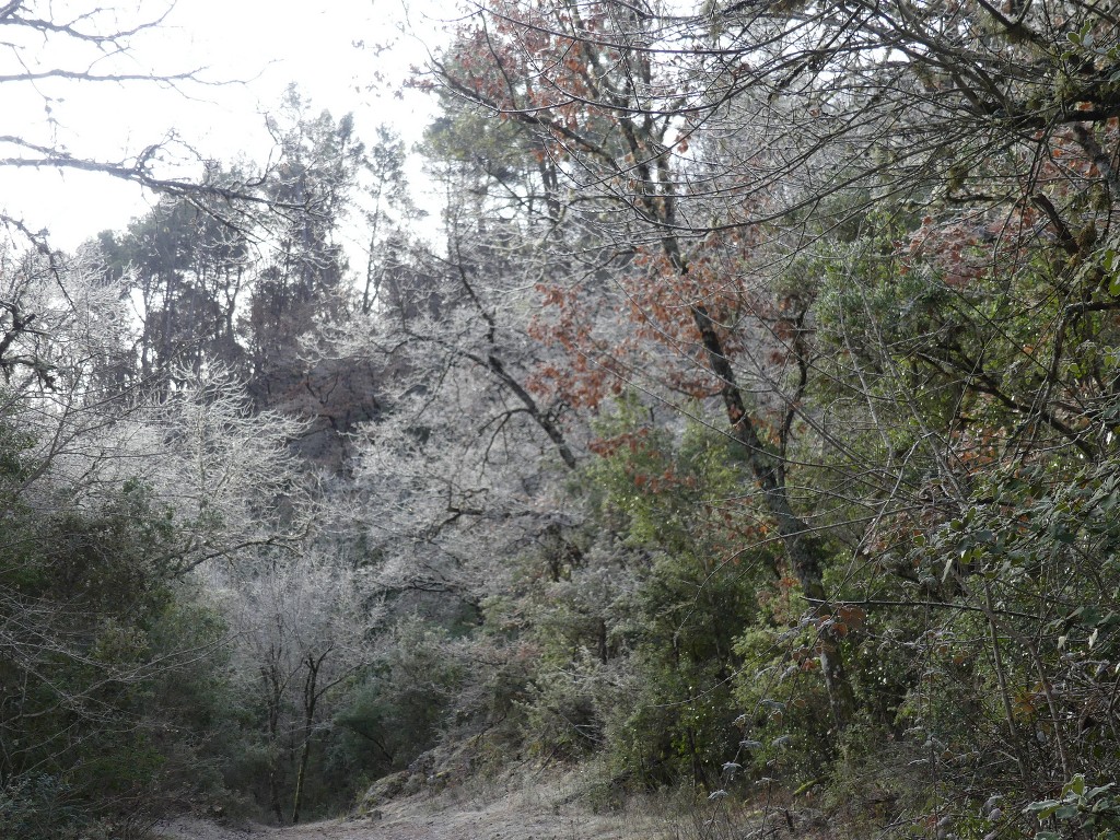 Sources de l'Huveaune-Rocs du Cayre-Jeudi 7 février 2019 OBUHrh