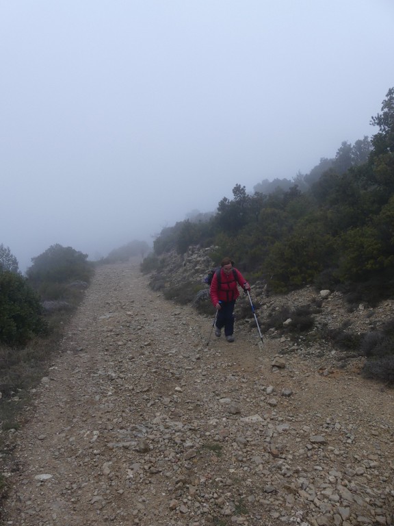 Mont Aurélien-Jeudi 25 janvier 2018 OqEYJz