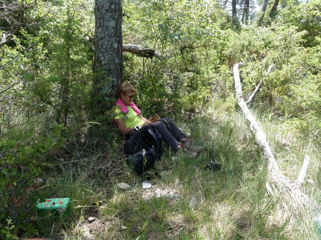 Lioux-Gorges de Vaumale-Jeudi 6 juin 2019 PX5LjN