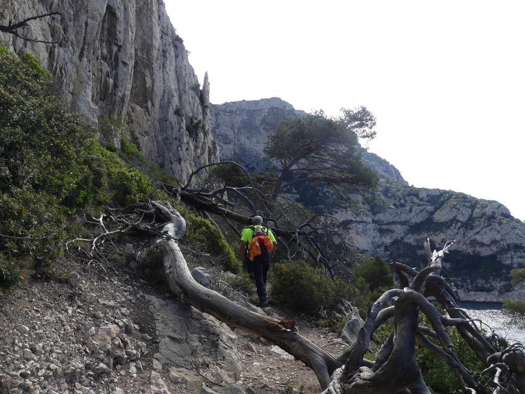 Mont Puget par l'Œil de Verre-Jeudi 3 mai 2018 RtJOdh