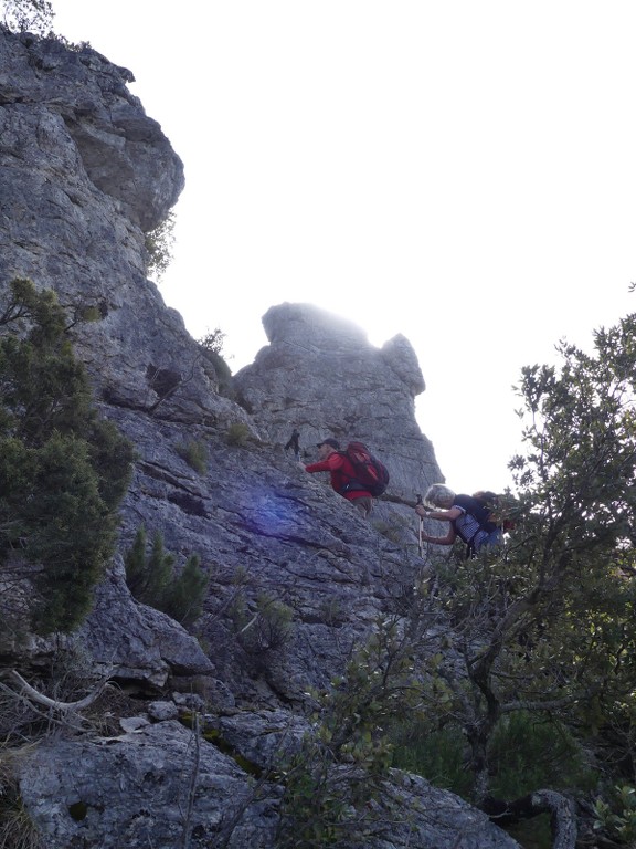 Méounes-Montrieux-Le Grand Puy-Jeudi 15 mars 2018 S6D4pw