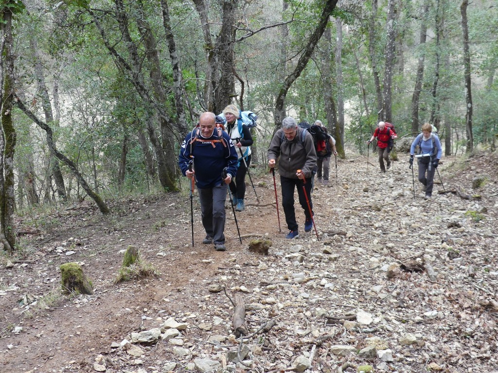 Méounes-Montrieux-Le Grand Puy-Jeudi 15 mars 2018 SH5D31