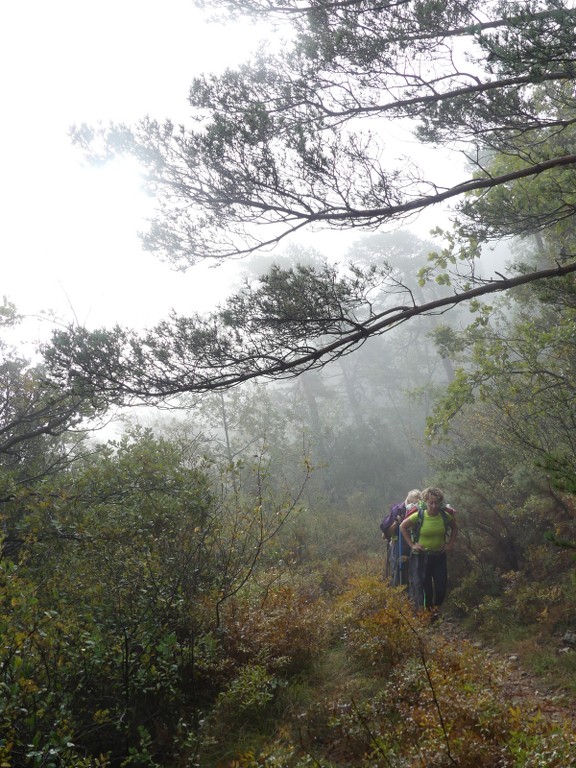 Grand Puech-Mont Julien-Jeudi 11 octobre 2018 TFL1Kj