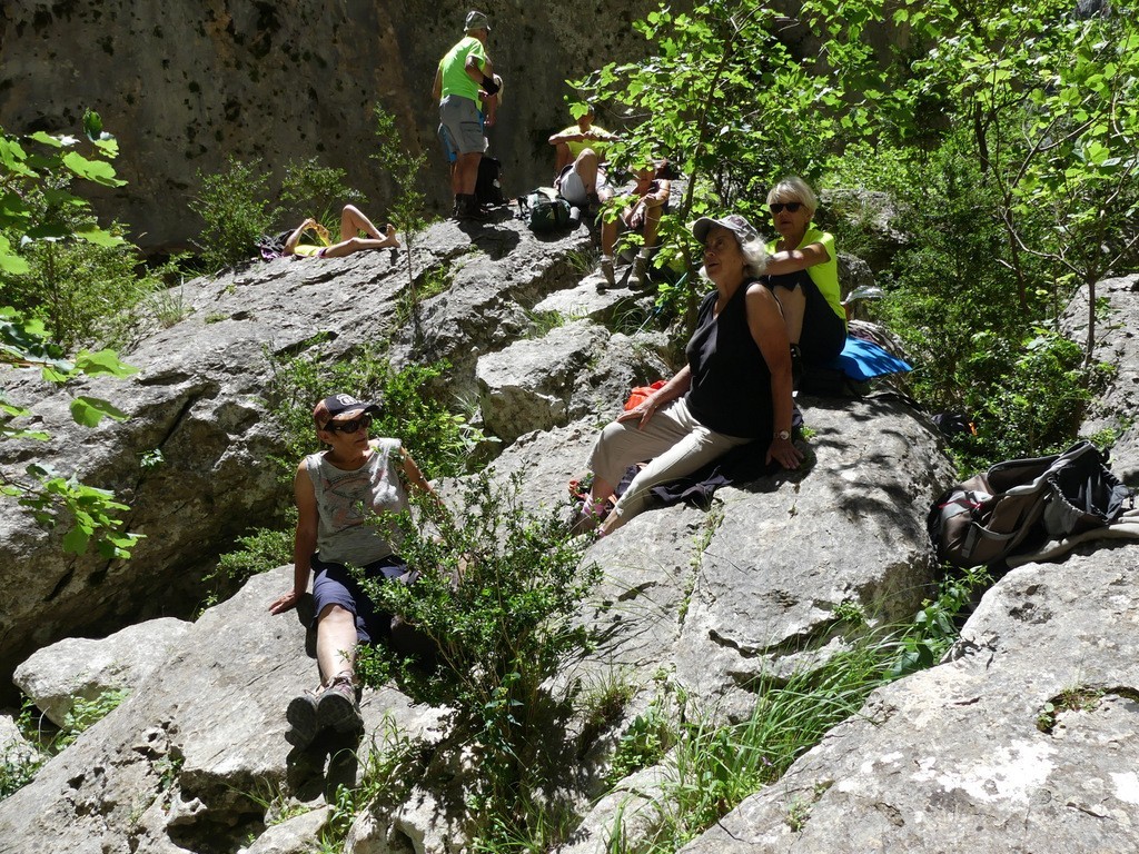 Verdon-Sentiers de l'Imbut et Vidal-Jeudi 8 juin 2017 U95Eje