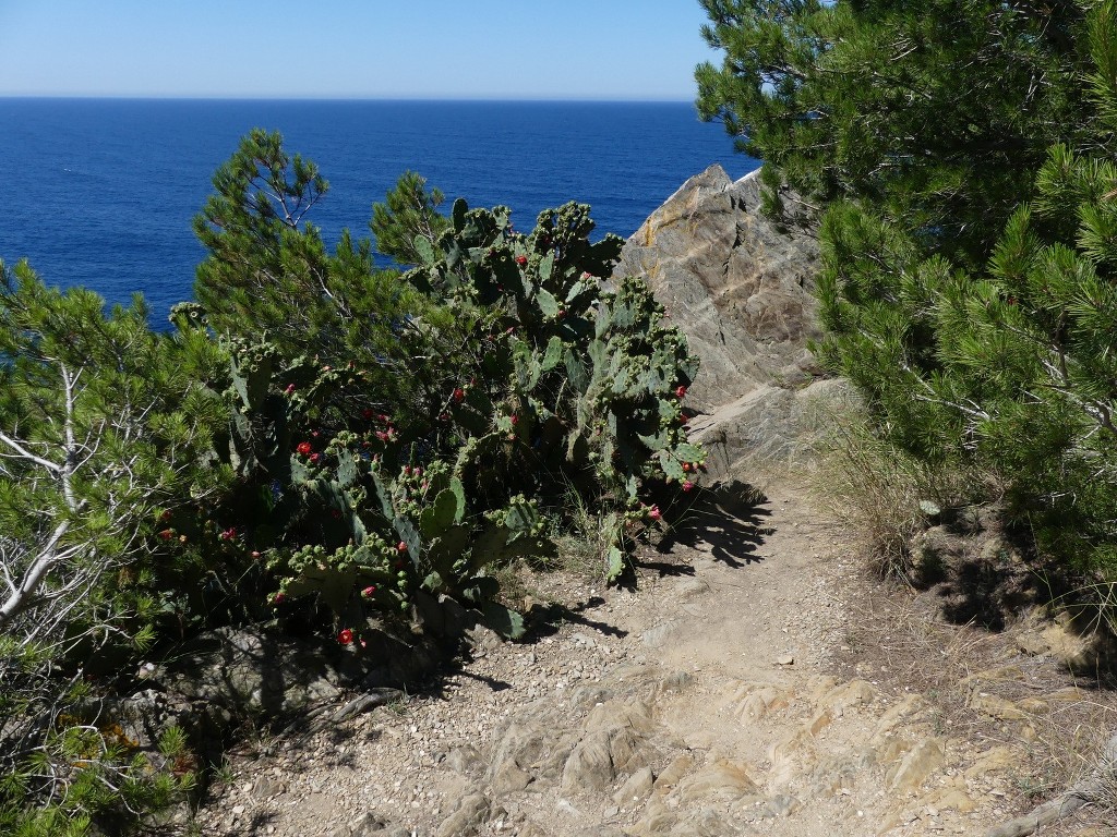 Porquerolles-Jeudi 14 juin 2018 V2rIq4