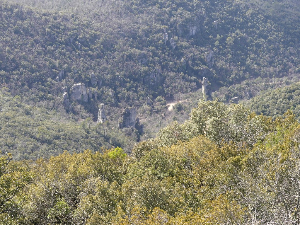 Méounes-Montrieux-Le Grand Puy-Jeudi 15 mars 2018 V6UDMs