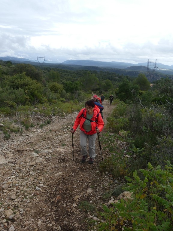 Cuges-Circuit des Jas-Jeudi 7 novemebre 2019 XLlchF