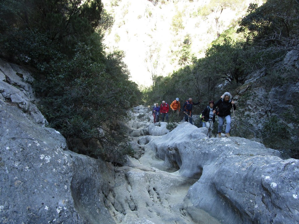 Ollioules-Gorges du Destel-Jeudi 28 mars 2019 ZMI9r1